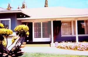 White Diamond Head Swinging Screen Doors